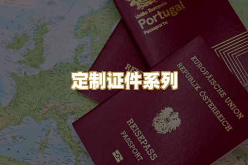 定制证件系列
